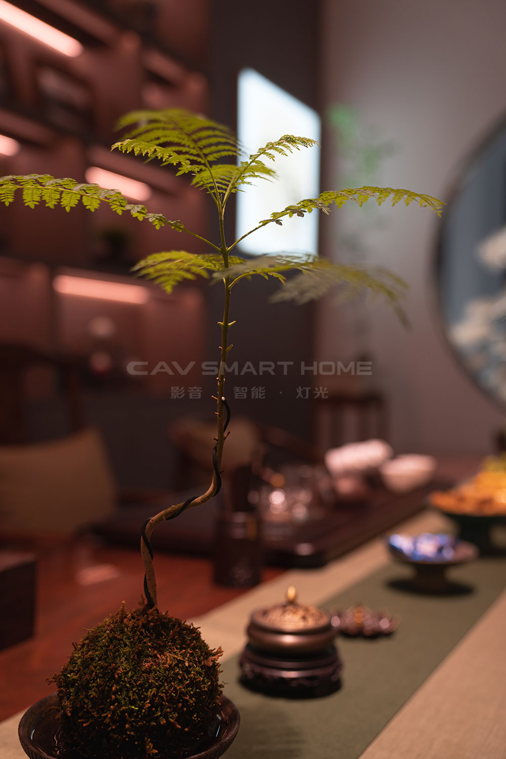 1670894860943546.jpg 20.jpg