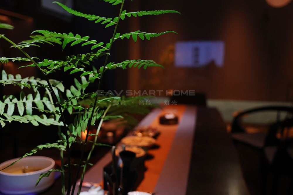 1670895971486972.jpg 1.jpg