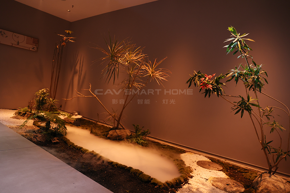 1670896352582271.jpg 6.jpg