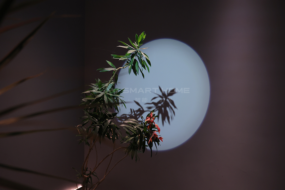 1670896358213018.jpg 7.jpg