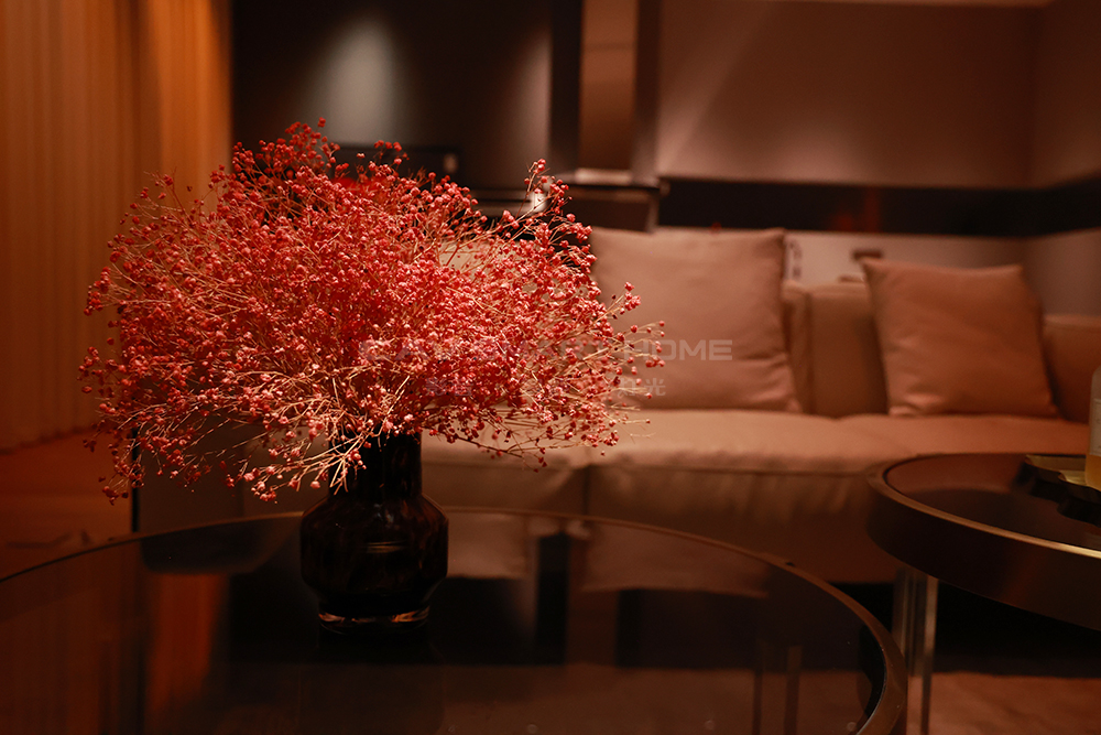 1670896419521514.jpg 18.jpg