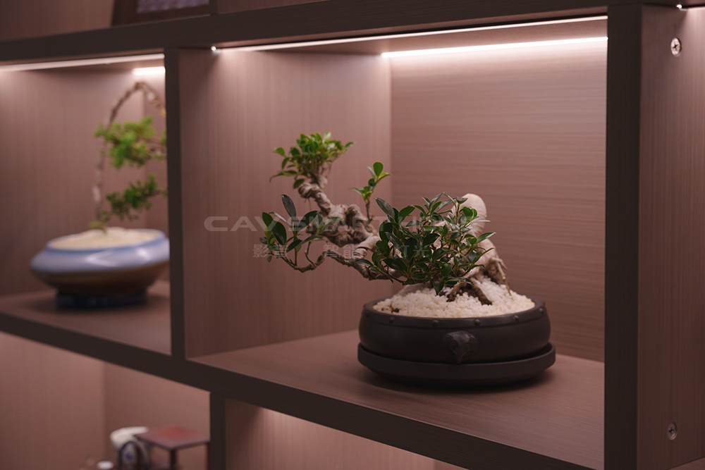 1670897086450240.jpg 13.jpg