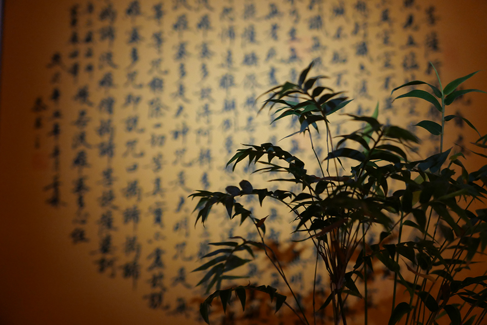 1670900944549255.jpg 1.jpg