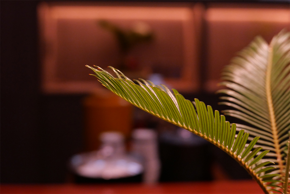 1670900955615396.jpg 3.jpg