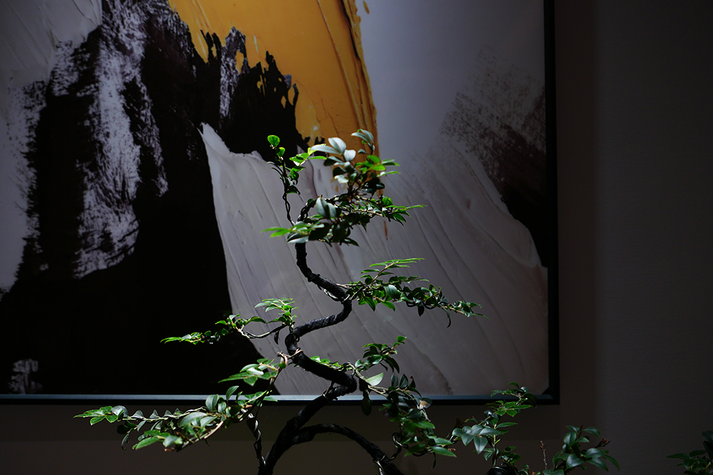 1670901085650280.jpg 15.jpg