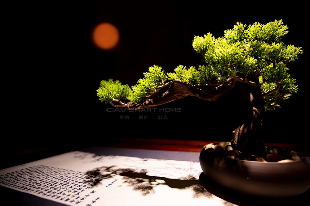 1670904158511851.jpg 3.jpg