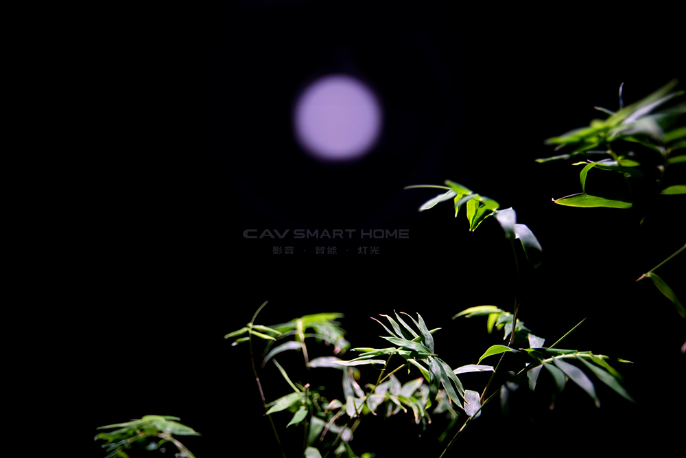 1670904233579691.jpg 13.jpg