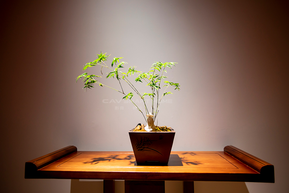 1670904254536867.jpg 16.jpg