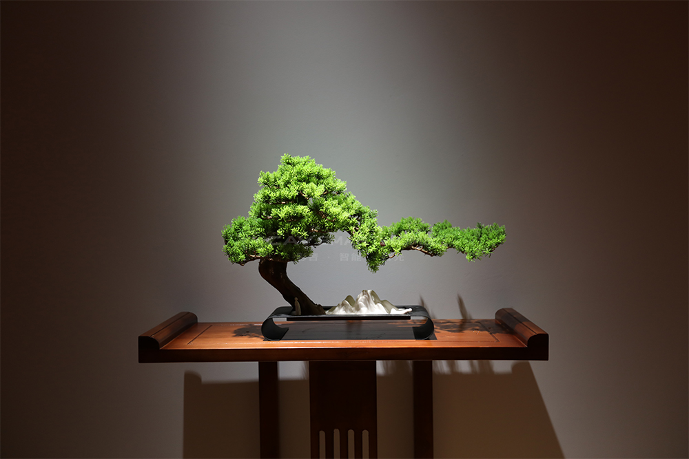 1670904281295913.jpg 19.jpg