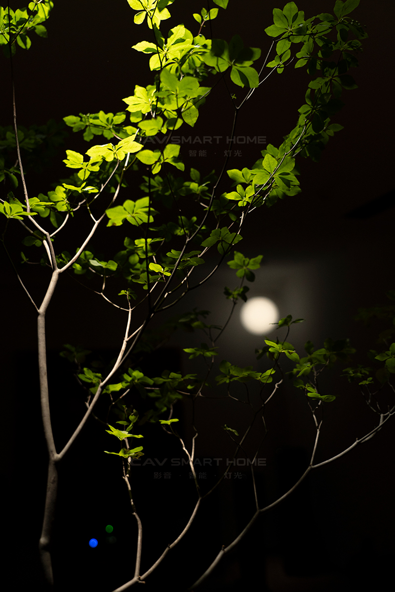 1670913016737405.jpg 1.jpg