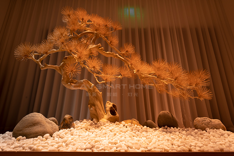 1670913043563010.jpg 4.jpg