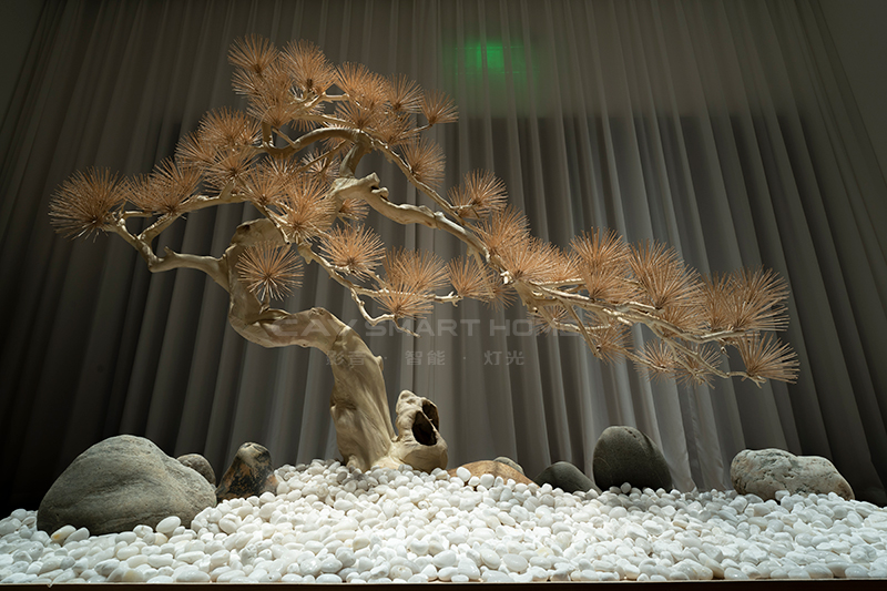 1670913048105132.jpg 5.jpg