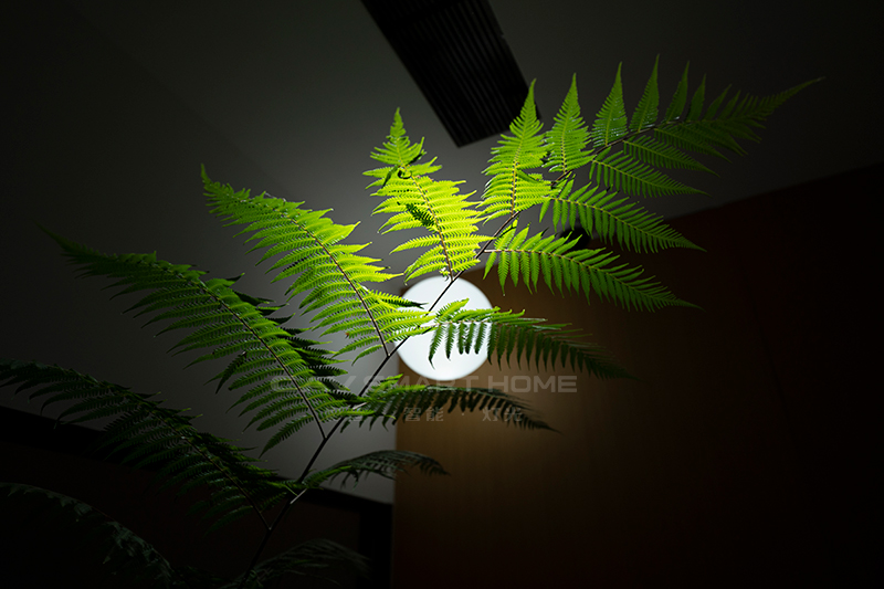 1670913118347328.jpg 13.jpg