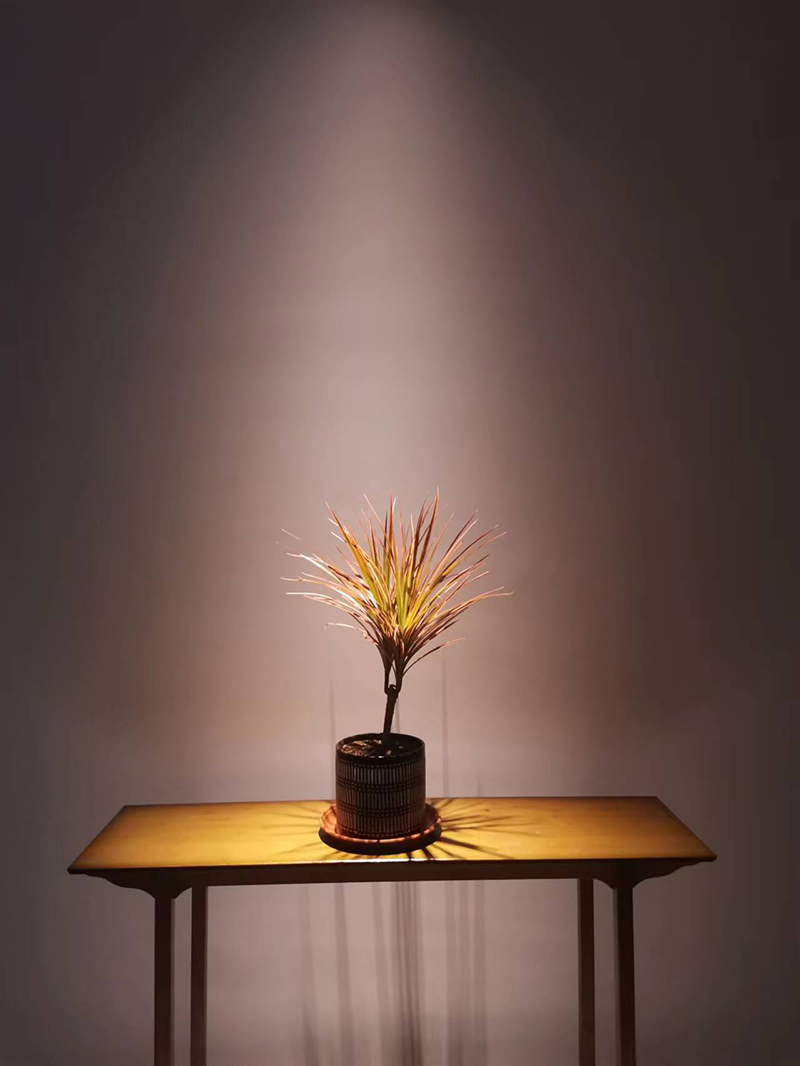 1670913636876247.jpg 2.jpg