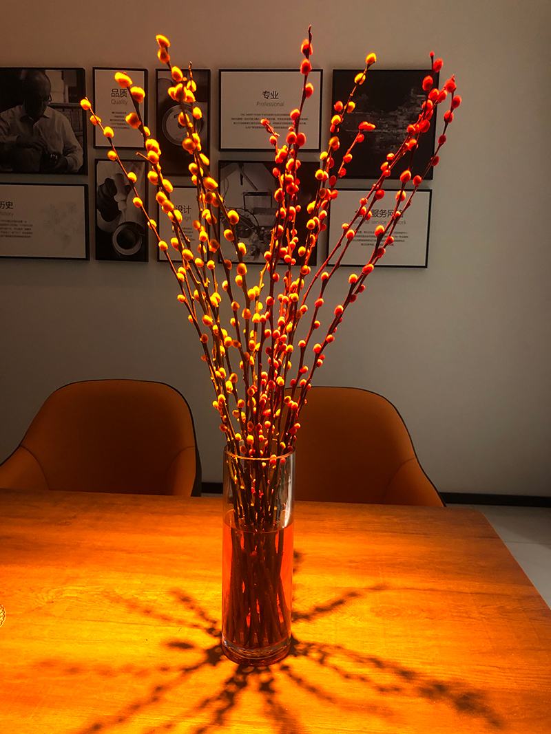 1670913686551489.jpg 8.jpg