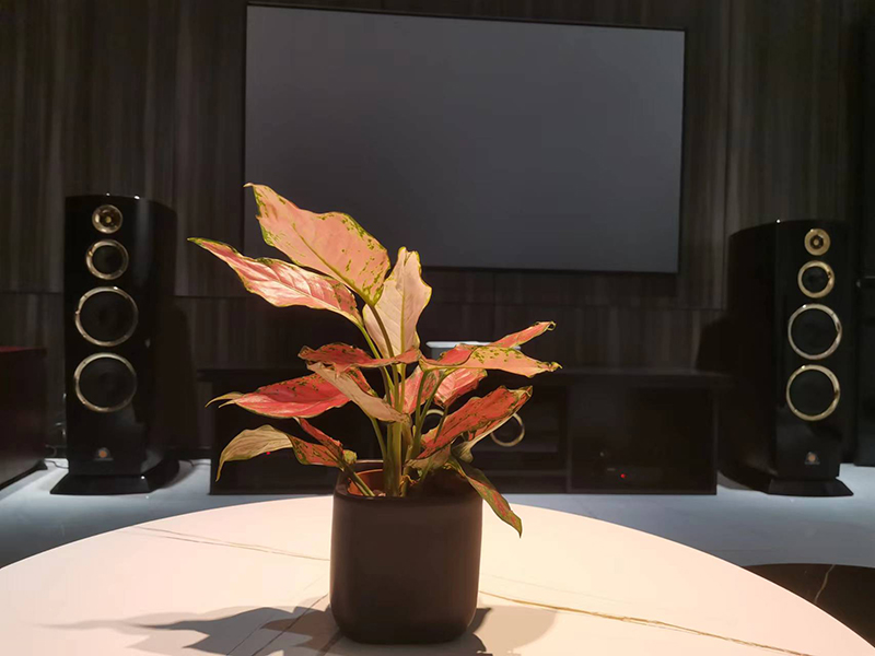 1670913780940631.jpg 15.jpg