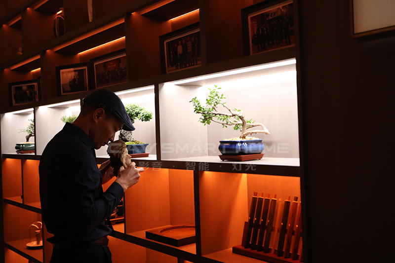 1670914623896819.jpg 1.jpg