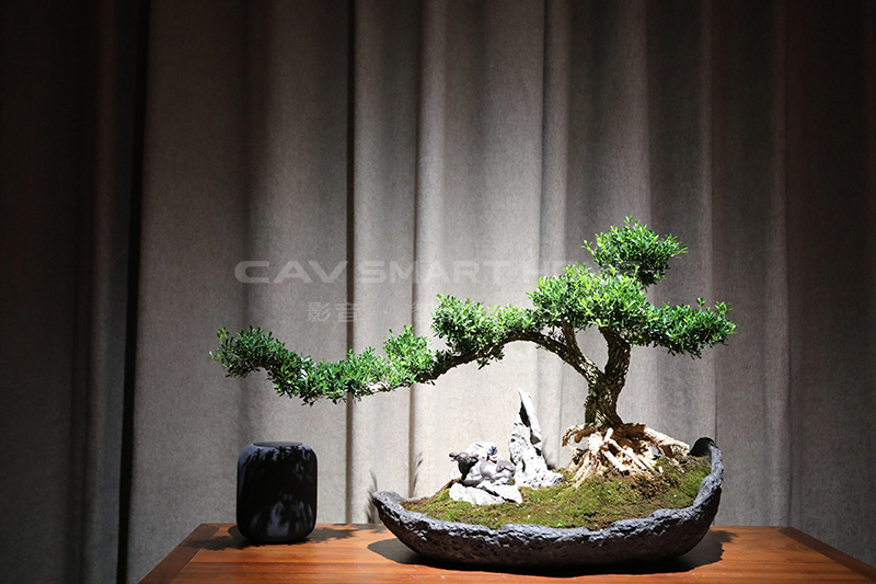 1670914632159826.jpg 2.jpg