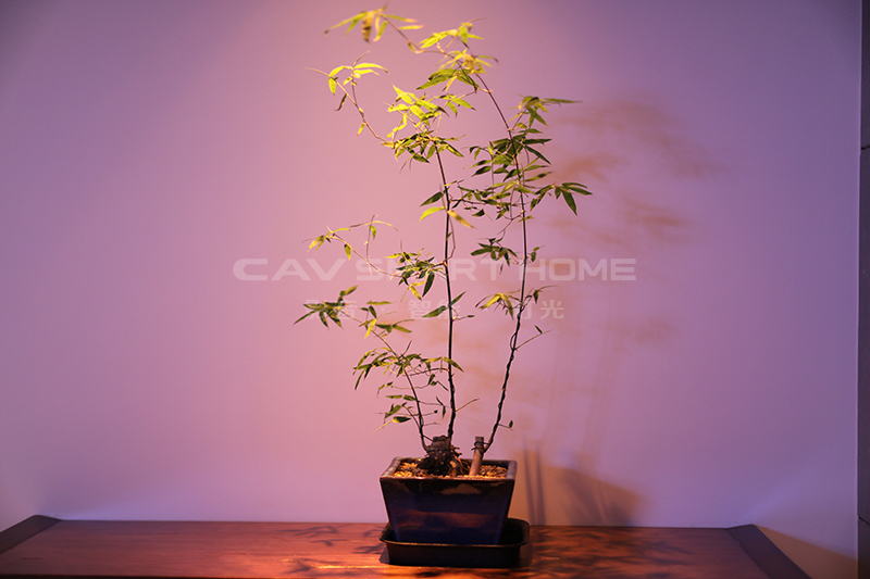 1670914689321188.jpg 7.jpg