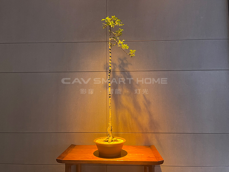 1670914693604400.jpg 8.jpg