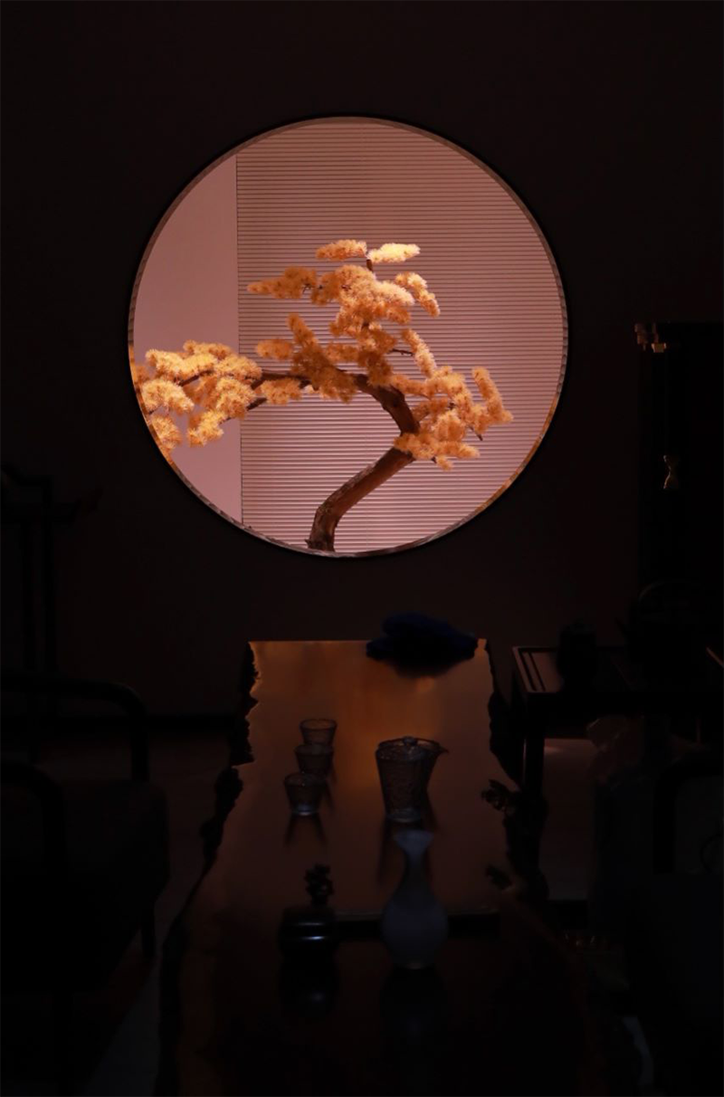 1672371618163887.png 6.png