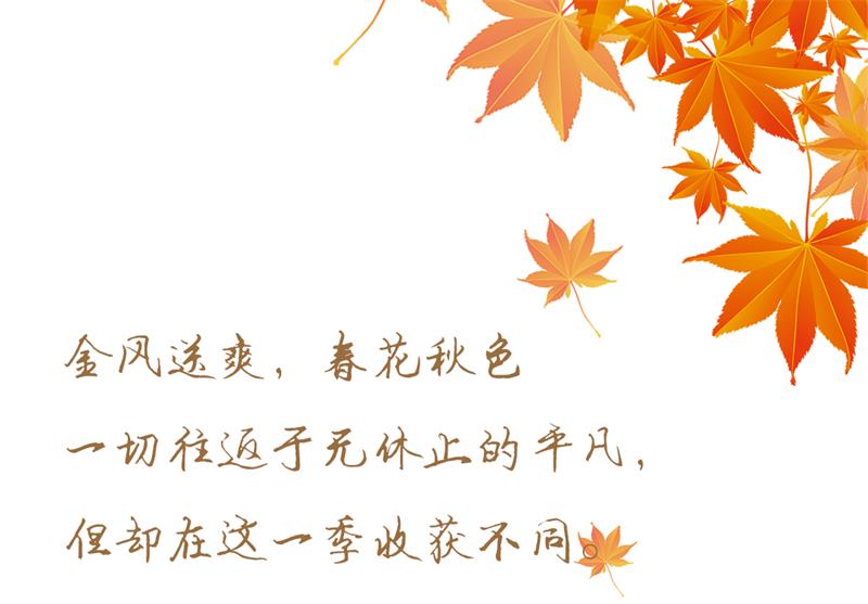 1672649775180311.jpg 1.jpg