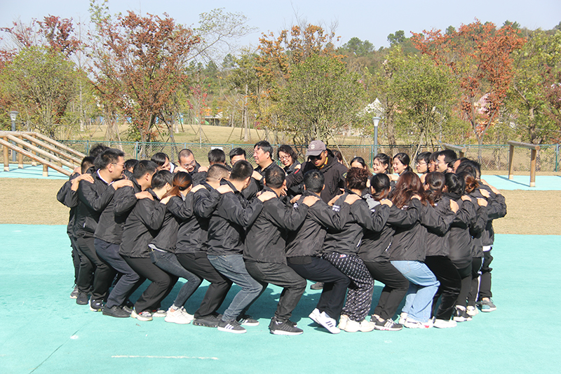 1672649864540086.jpg 11.jpg