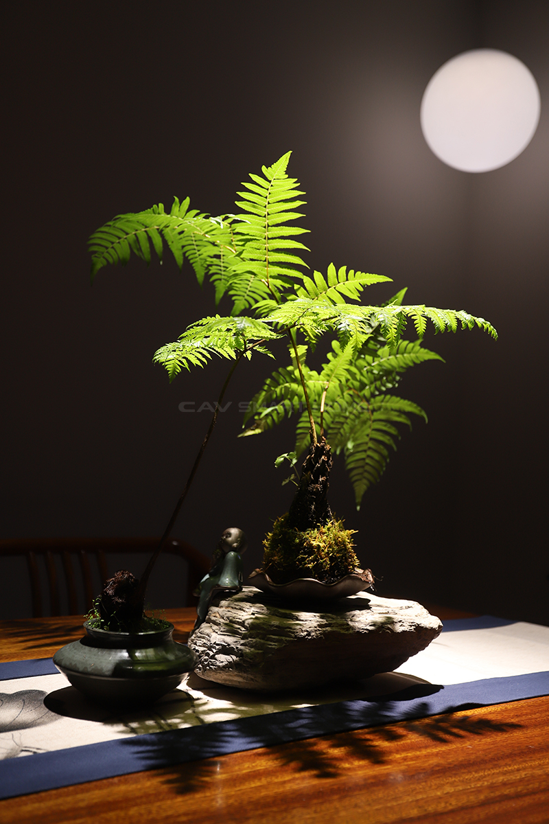 1675843274445572.jpg 2.jpg