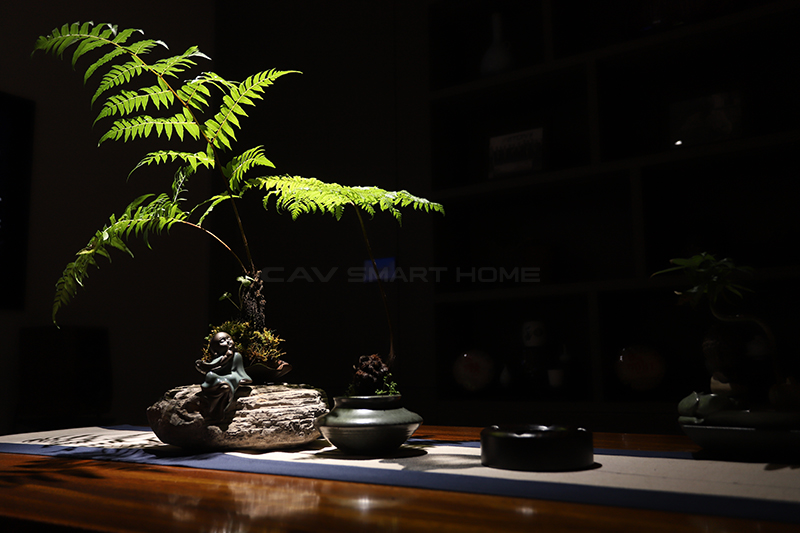 1675843697958810.jpg 16.jpg