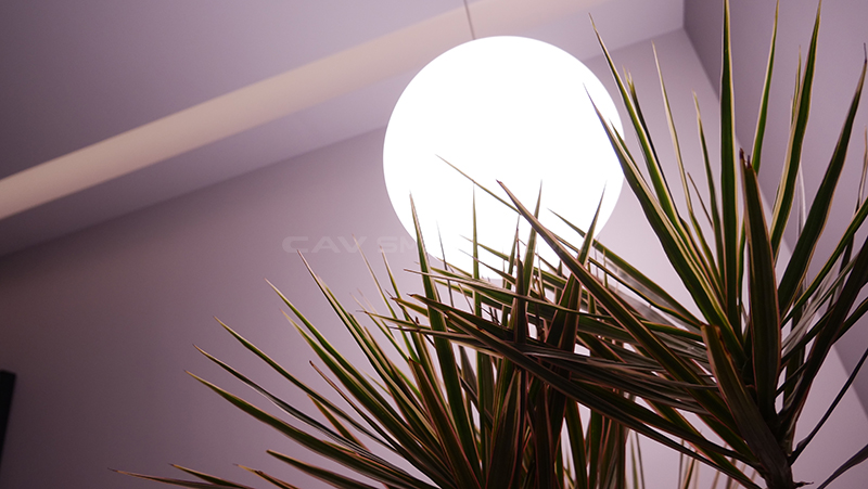 1675843749365411.jpg 19.jpg