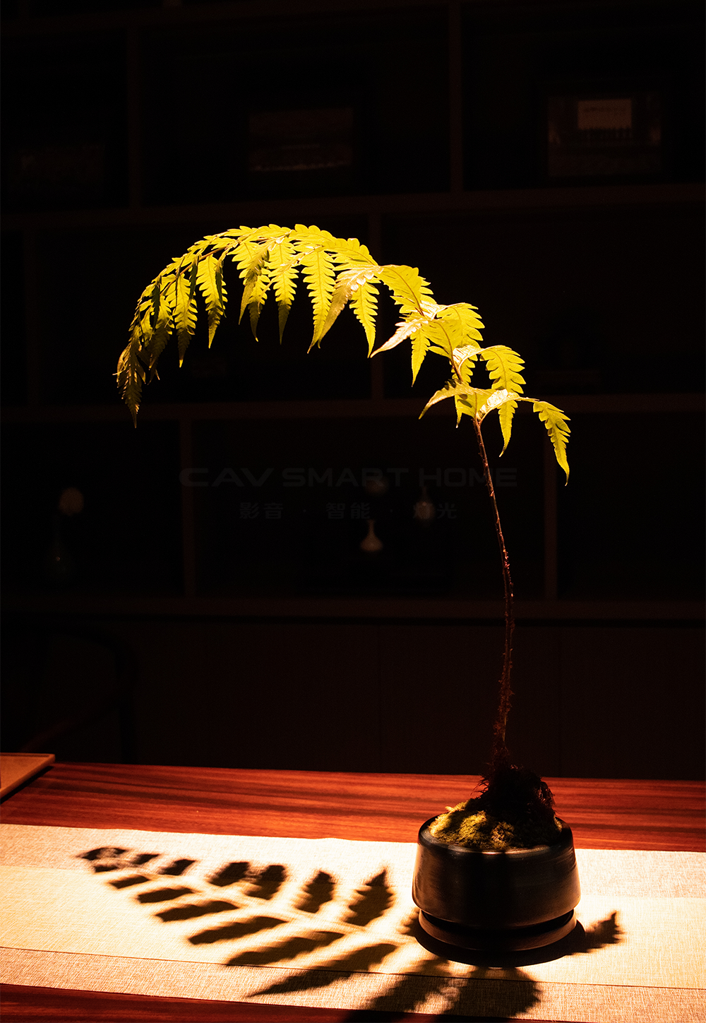 1682477631475823.png 2.png