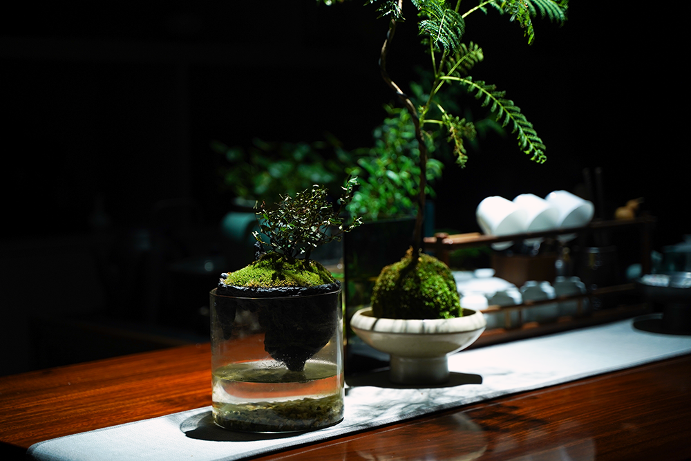 1692264415646689.png 2.png