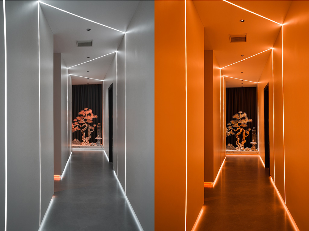 1692264492229048.png 6.png