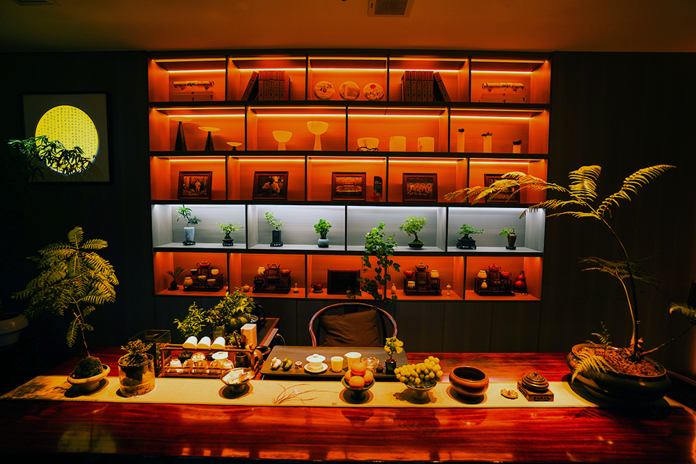 1692264520281433.png 8.png