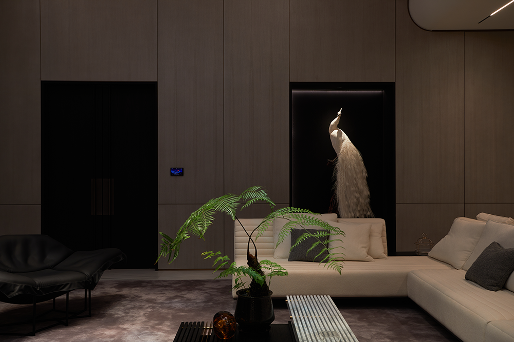 1710315260482000.png 04-(2).png