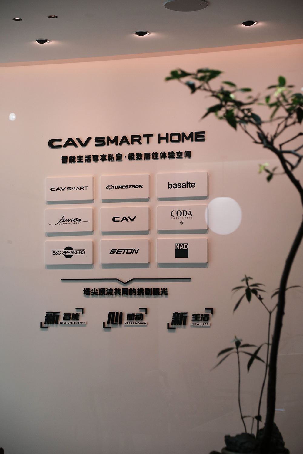 1748490153405396.png 19.png